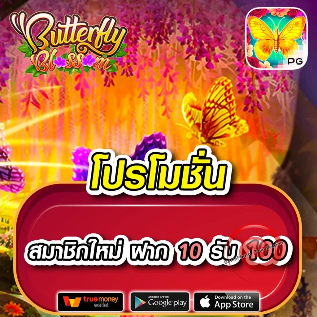 แทงหวย100